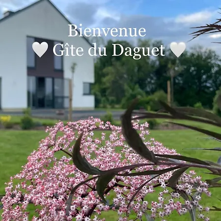 Villa Le Daguet Florenville Exterior foto